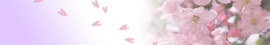 困っていることと便秘